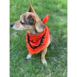 Ben's Insect Shield Bandana For Dogs -Pet Wellness 908278 PT2. AC SS1800 V1689632159