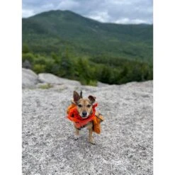 Ben's Insect Shield Bandana For Dogs -Pet Wellness 908278 PT3. AC SS1800 V1689630630