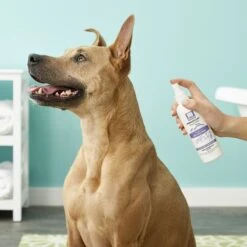 Nootie Medicated Anti-Itch Spray For Dogs -Pet Wellness 91102 PT3. AC SS1800 V1543532850