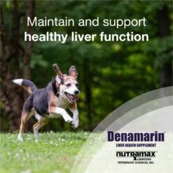 Nutramax Denamarin For Liver Health Tablets For Medium Dogs, 30 Count -Pet Wellness 911582 PT4. AC SS1800 V1689889799