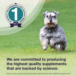 Nutramax Denamarin For Liver Health Tablets For Medium Dogs, 30 Count -Pet Wellness 911582 PT5. AC SS1800 V1689963577