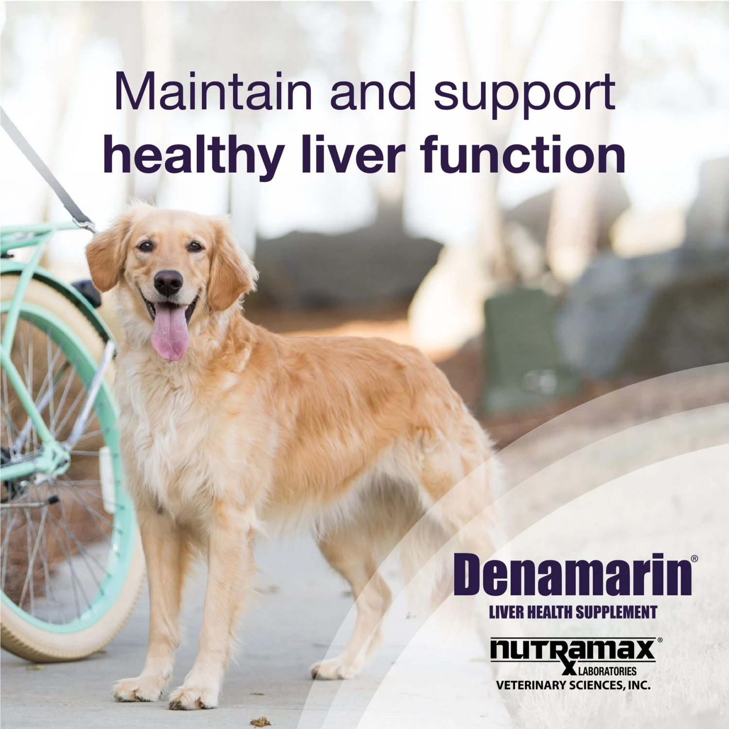 Nutramax Denamarin For Liver Health Tablets For Large Dogs, 30 Count 5 Nutramax Denamarin For Liver Health Tablets For Large Dogs, 30 Count - Image 5