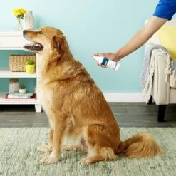 Relief Spray For Itchy Skin For Dogs, Cats, & Horses -Pet Wellness 91606 PT4. AC SS1800 V1543935733