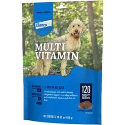 DVM Daily Soft Chews Multi Vitamin For Dogs -Pet Wellness 91616 PT3. AC SS1800 V1649336828