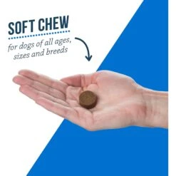 DVM Daily Soft Chews Multi Vitamin For Dogs -Pet Wellness 91616 PT4. AC SS1800 V1561498967