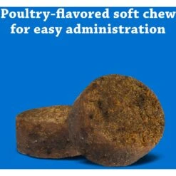 DVM Daily Soft Chews Multi Vitamin For Dogs -Pet Wellness 91616 PT5. AC SS1800 V1561498933