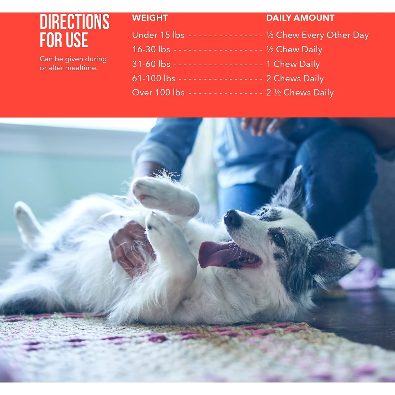 Synovi G3 Soft Chews Joint Supplement For Dogs 6 Synovi G3 Soft Chews Joint Supplement For Dogs - Image 6