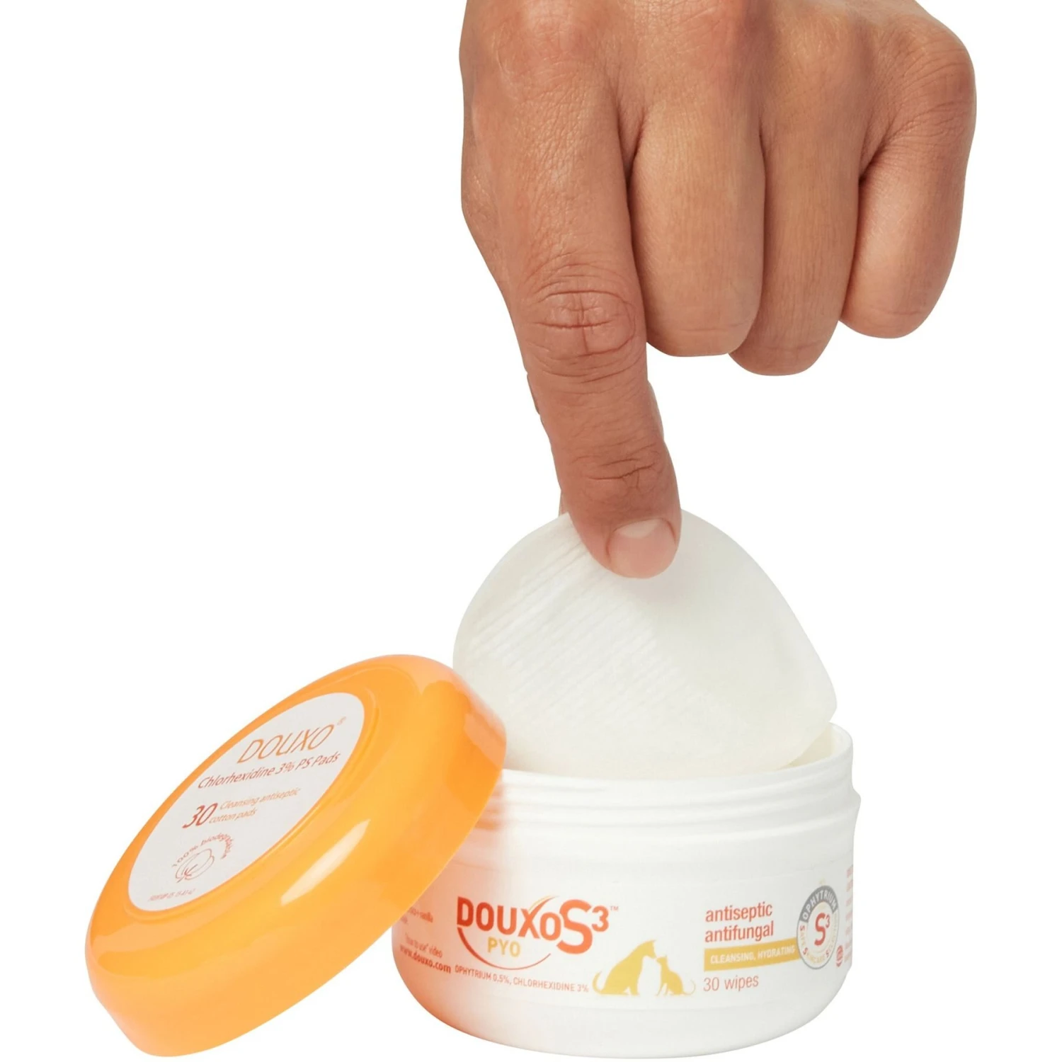 Douxo S3 PYO Antiseptic Antifungal Chlorhexidine Dog & Cat Wipes 30 Count & Douxo S3 PYO Antiseptic Antifungal Chlorhexidine Dog & Cat Shampoo 5 Douxo S3 PYO Antiseptic Antifungal Chlorhexidine Dog & Cat Wipes 30 Count & Douxo S3 PYO Antiseptic Antifungal Chlorhexidine Dog & Cat Shampoo - Image 5
