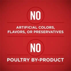 Purina ONE SmartBlend Tender Cuts In Gravy Chicken & Brown Rice Entree Adult Canned Dog Food 12 Purina ONE SmartBlend Tender Cuts In Gravy Chicken & Brown Rice Entree Adult Canned Dog Food -Pet Wellness 91787 PT3. AC SS1800 V1671734986