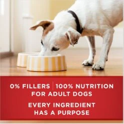 Purina ONE SmartBlend Tender Cuts In Gravy Chicken & Brown Rice Entree Adult Canned Dog Food 14 Purina ONE SmartBlend Tender Cuts In Gravy Chicken & Brown Rice Entree Adult Canned Dog Food -Pet Wellness 91787 PT5. AC SS1800 V1671813773