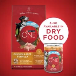 Purina ONE SmartBlend Tender Cuts In Gravy Chicken & Brown Rice Entree Adult Canned Dog Food 15 Purina ONE SmartBlend Tender Cuts In Gravy Chicken & Brown Rice Entree Adult Canned Dog Food -Pet Wellness 91787 PT6. AC SS1800 V1671744316
