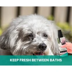 Gou Gou Pets Lotus & White Tea Leave In Conditioning Dog & Cat Spray, 8-oz Bottle -Pet Wellness 918022 PT6. AC SS1800 V1694442931