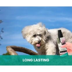 Gou Gou Pets Lotus & White Tea Leave In Conditioning Dog & Cat Spray, 8-oz Bottle -Pet Wellness 918022 PT7. AC SS1800 V1694443413