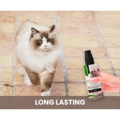 Gou Gou Pets Cherry Blossom & Green Tea Leave In Conditioning Dog & Cat Spray, 8-oz Bottle -Pet Wellness 918038 PT4. AC SS1800 V1694442990