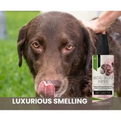 Gou Gou Pets Cherry Blossom & Green Tea Leave In Conditioning Dog & Cat Spray, 8-oz Bottle -Pet Wellness 918038 PT5. AC SS1800 V1694203887