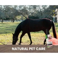 Gou Gou Pets Cherry Blossom & Green Tea Leave In Conditioning Dog & Cat Spray, 8-oz Bottle -Pet Wellness 918038 PT6. AC SS1800 V1694442934