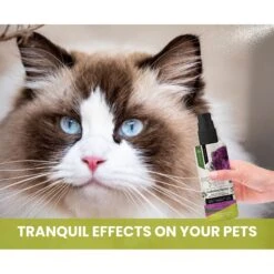 Gou Gou Pets Calming Dog & Cat Spray For Anxiety, 8-oz Bottle -Pet Wellness 918054 PT3. AC SS1800 V1694442987