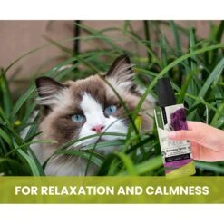 Gou Gou Pets Calming Dog & Cat Spray For Anxiety, 8-oz Bottle -Pet Wellness 918054 PT4. AC SS1800 V1694443050