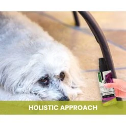 Gou Gou Pets Calming Dog & Cat Spray For Anxiety, 8-oz Bottle -Pet Wellness 918054 PT5. AC SS1800 V1694443047