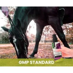 Gou Gou Pets Calming Dog & Cat Spray For Anxiety, 8-oz Bottle -Pet Wellness 918054 PT7. AC SS1800 V1694442991