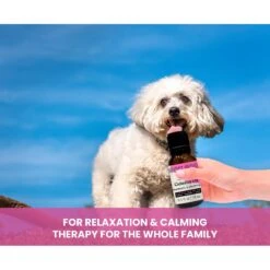 Gou Gou Pets Calming Essential Oil Blend For Anxiety Dog & Cat Spray, 15-ml Bottle 12 Gou Gou Pets Calming Essential Oil Blend For Anxiety Dog & Cat Spray, 15-ml Bottle -Pet Wellness 918070 PT4. AC SS1800 V1694442923