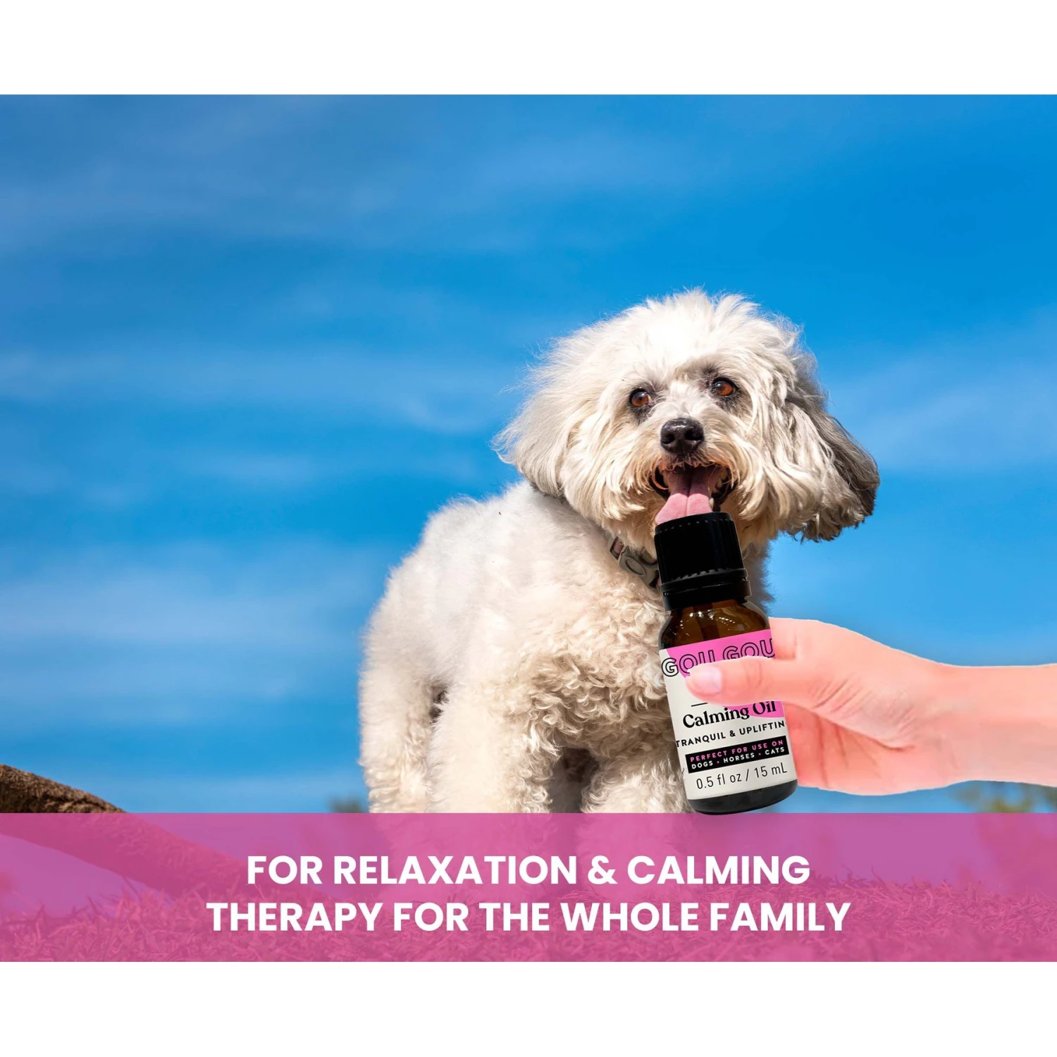 Gou Gou Pets Calming Essential Oil Blend For Anxiety Dog & Cat Spray, 15-ml Bottle 5 Gou Gou Pets Calming Essential Oil Blend For Anxiety Dog & Cat Spray, 15-ml Bottle - Image 5