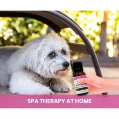 Gou Gou Pets Calming Essential Oil Blend For Anxiety Dog & Cat Spray, 15-ml Bottle 13 Gou Gou Pets Calming Essential Oil Blend For Anxiety Dog & Cat Spray, 15-ml Bottle -Pet Wellness 918070 PT5. AC SS1800 V1694442925