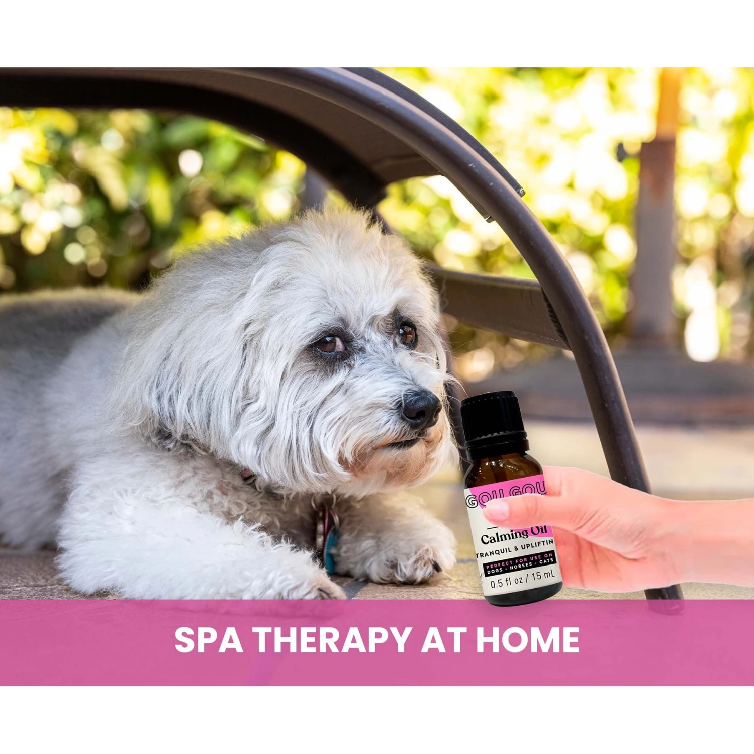 Gou Gou Pets Calming Essential Oil Blend For Anxiety Dog & Cat Spray, 15-ml Bottle 6 Gou Gou Pets Calming Essential Oil Blend For Anxiety Dog & Cat Spray, 15-ml Bottle - Image 6