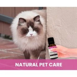 Gou Gou Pets Calming Essential Oil Blend For Anxiety Dog & Cat Spray, 15-ml Bottle 15 Gou Gou Pets Calming Essential Oil Blend For Anxiety Dog & Cat Spray, 15-ml Bottle -Pet Wellness 918070 PT7. AC SS1800 V1694442991