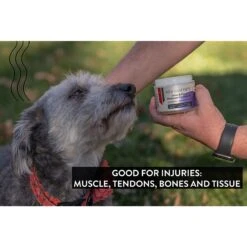 Gou Gou Pets Joint & Bone Ointment For Injuries Dog, Cat & Horse Cream 9 Gou Gou Pets Joint & Bone Ointment For Injuries Dog, Cat & Horse Cream -Pet Wellness 918166 PT3. AC SS1800 V1694205454