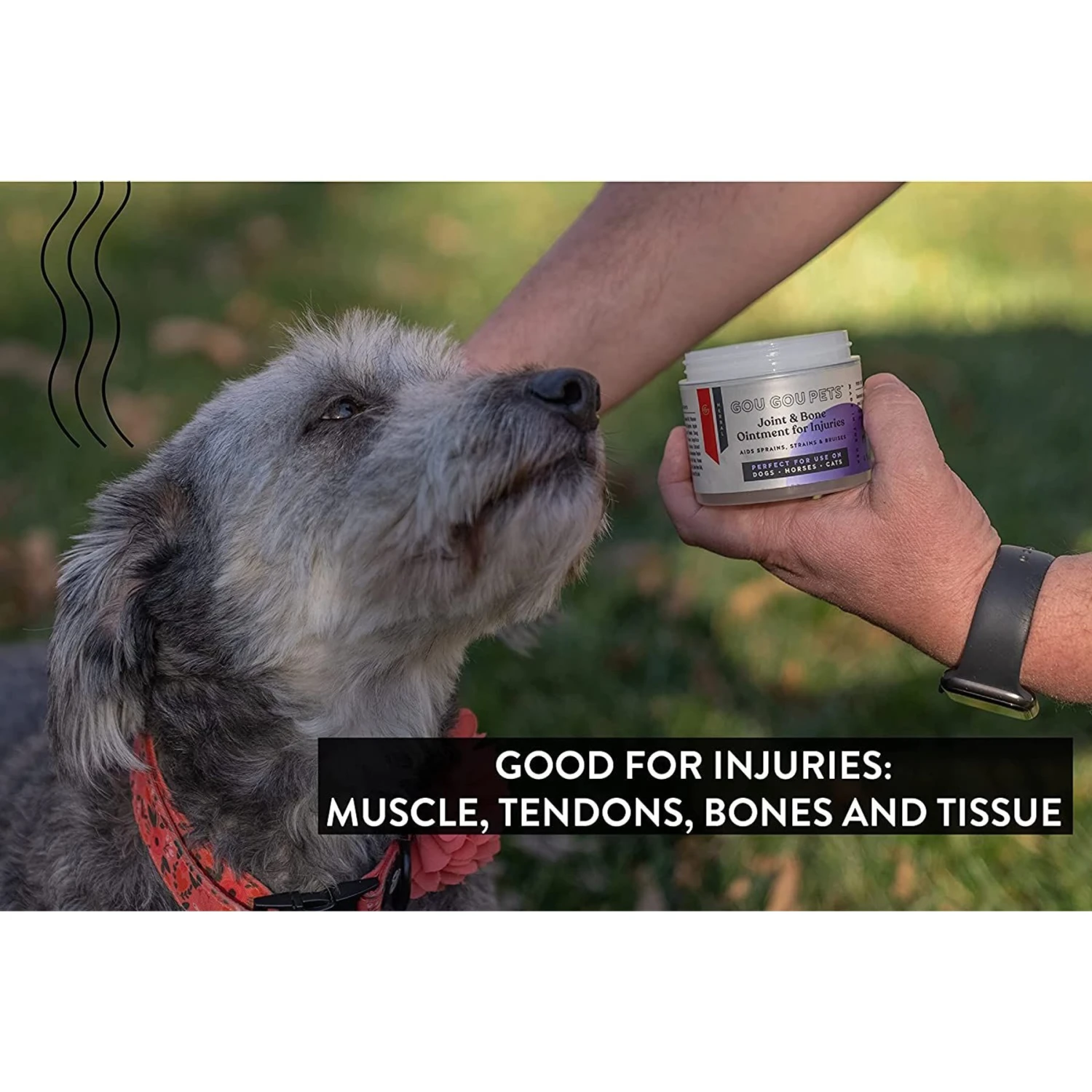 Gou Gou Pets Joint & Bone Ointment For Injuries Dog, Cat & Horse Cream 4 Gou Gou Pets Joint & Bone Ointment For Injuries Dog, Cat & Horse Cream - Image 4