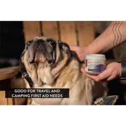 Gou Gou Pets Joint & Bone Ointment For Injuries Dog, Cat & Horse Cream 10 Gou Gou Pets Joint & Bone Ointment For Injuries Dog, Cat & Horse Cream -Pet Wellness 918166 PT4. AC SS1800 V1694205339