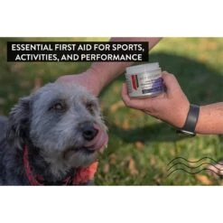 Gou Gou Pets Joint & Bone Ointment For Injuries Dog, Cat & Horse Cream 11 Gou Gou Pets Joint & Bone Ointment For Injuries Dog, Cat & Horse Cream -Pet Wellness 918166 PT5. AC SS1800 V1694205392