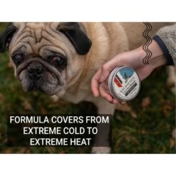 Gou Gou Pets 3-in-1 Paw Ointment Dog & Cat Cream -Pet Wellness 918182 PT3. AC SS1800 V1694203886