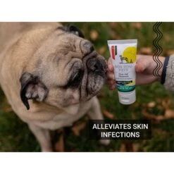 Gou Gou Pets First Aid Ointment Dog, Cat & Horse Cream 9 Gou Gou Pets First Aid Ointment Dog, Cat & Horse Cream -Pet Wellness 918206 PT3. AC SS1800 V1694203825