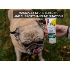Gou Gou Pets First Aid Ointment Dog, Cat & Horse Cream 11 Gou Gou Pets First Aid Ointment Dog, Cat & Horse Cream -Pet Wellness 918206 PT5. AC SS1800 V1694205454