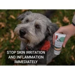 Gou Gou Pets DermaSkin Ointment Dog, Cat & Horse Cream 11 Gou Gou Pets DermaSkin Ointment Dog, Cat & Horse Cream -Pet Wellness 918230 PT4. AC SS1800 V1694205392