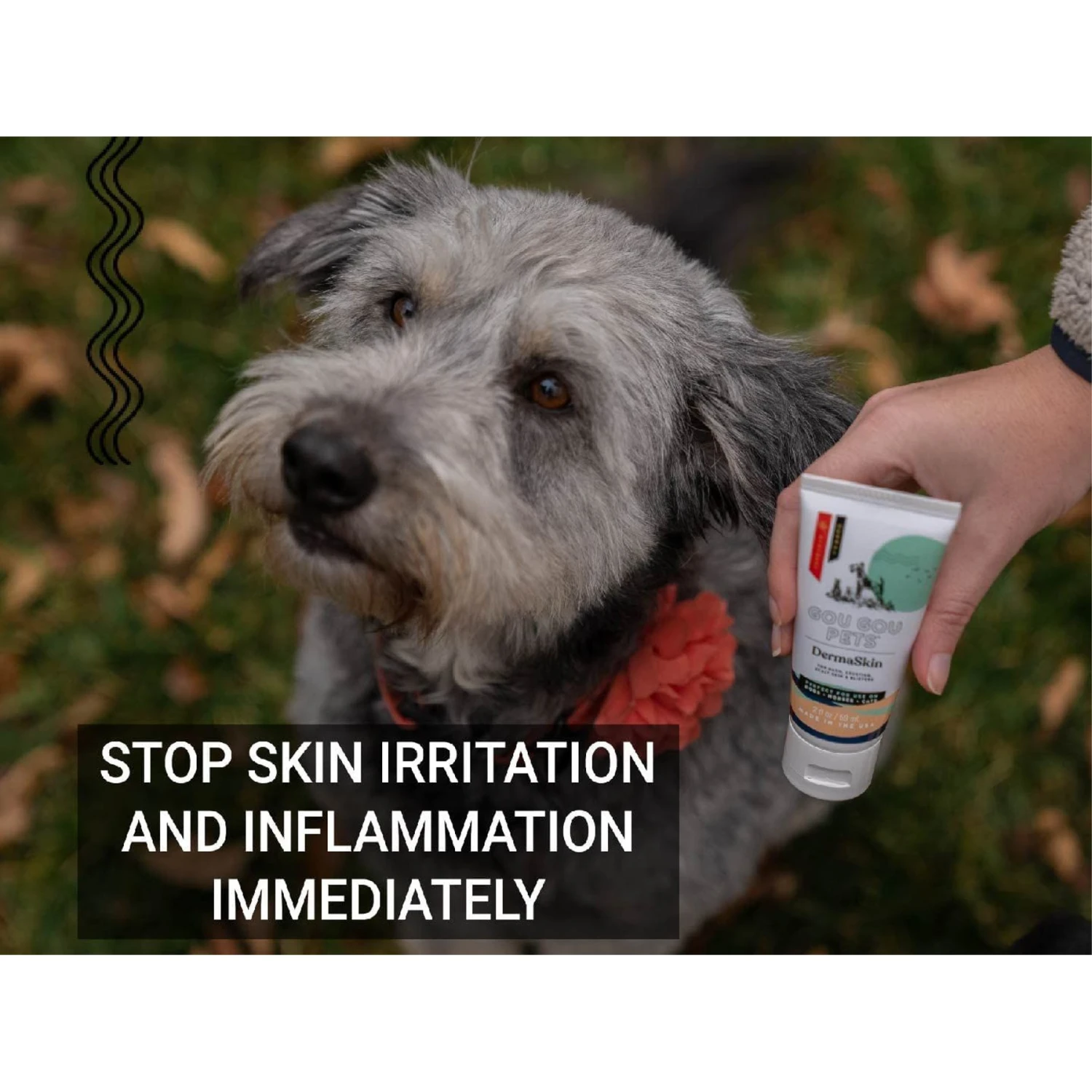 Gou Gou Pets DermaSkin Ointment Dog, Cat & Horse Cream 5 Gou Gou Pets DermaSkin Ointment Dog, Cat & Horse Cream - Image 5