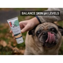 Gou Gou Pets DermaSkin Ointment Dog, Cat & Horse Cream 12 Gou Gou Pets DermaSkin Ointment Dog, Cat & Horse Cream -Pet Wellness 918230 PT5. AC SS1800 V1694205395