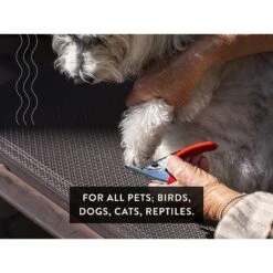 Gou Gou Pets Pedicure Kit Dog Grooming Tool -Pet Wellness 918270 PT7. AC SS1800 V1694203831