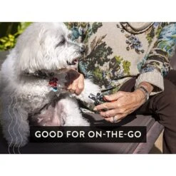 Gou Gou Pets Pedicure Kit For Dog, Cat, Bird & Reptile Tool -Pet Wellness 918286 PT5. AC SS1800 V1694205454