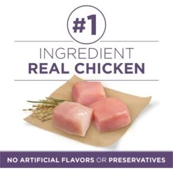 Purina ONE High Protein + Vibrant Maturity 7 Plus Formula Dry Senior Dog Food 11 Purina ONE High Protein + Vibrant Maturity 7 Plus Formula Dry Senior Dog Food -Pet Wellness 918782 PT2. AC SS1800 V1694624325