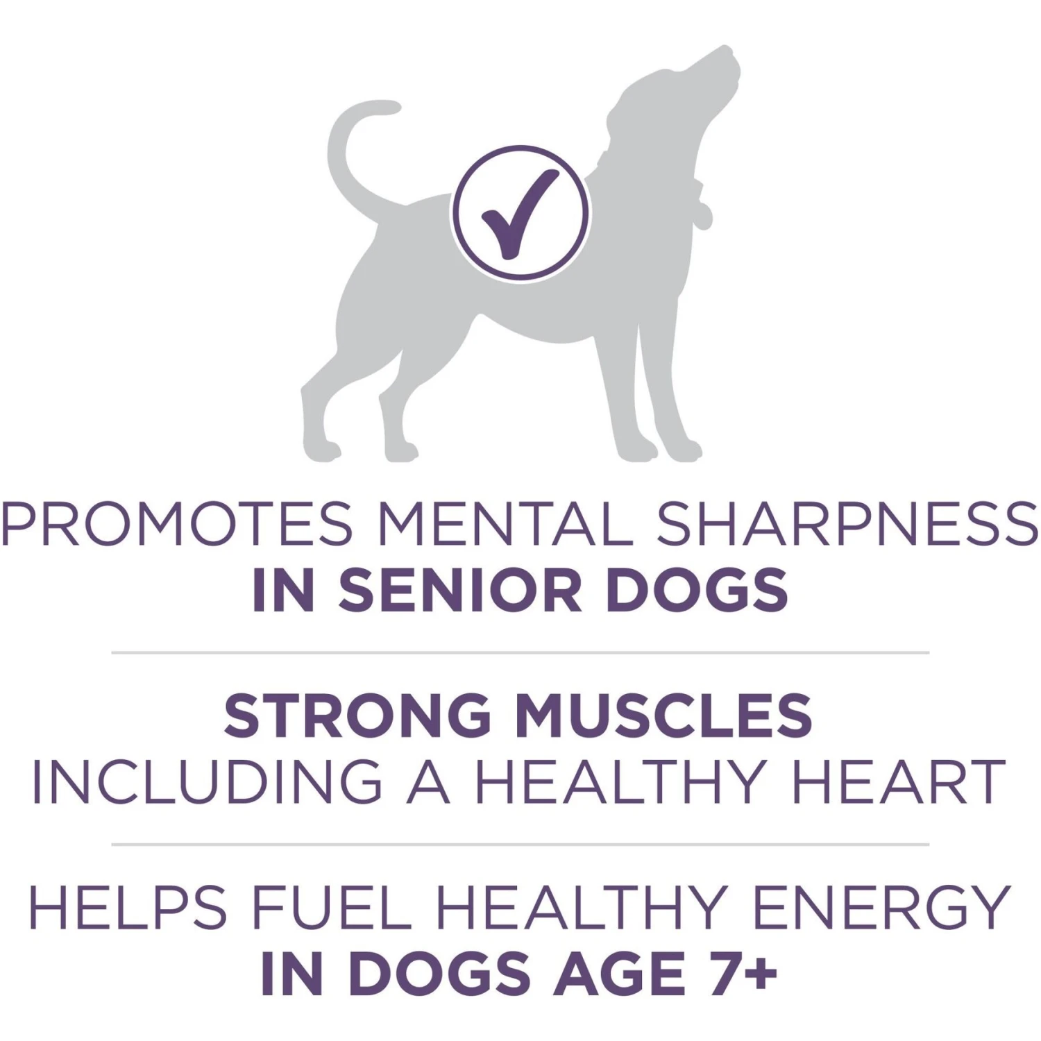 Purina ONE High Protein + Vibrant Maturity 7 Plus Formula Dry Senior Dog Food 4 Purina ONE High Protein + Vibrant Maturity 7 Plus Formula Dry Senior Dog Food - Image 4