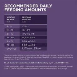 Purina ONE High Protein + Vibrant Maturity 7 Plus Formula Dry Senior Dog Food 17 Purina ONE High Protein + Vibrant Maturity 7 Plus Formula Dry Senior Dog Food -Pet Wellness 918782 PT8. AC SS1800 V1694623288