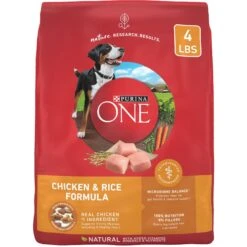 Purina ONE Chicken & Rice Formula Dry Dog Food, 4-lb Bag