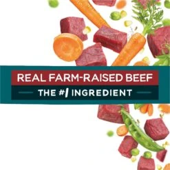 Purina Beneful IncrediBites With Farm-Raised Beef, Small Breed Dry Dog Food, 3.5-lb Bag -Pet Wellness 918942 PT7. AC SS1800 V1694538297