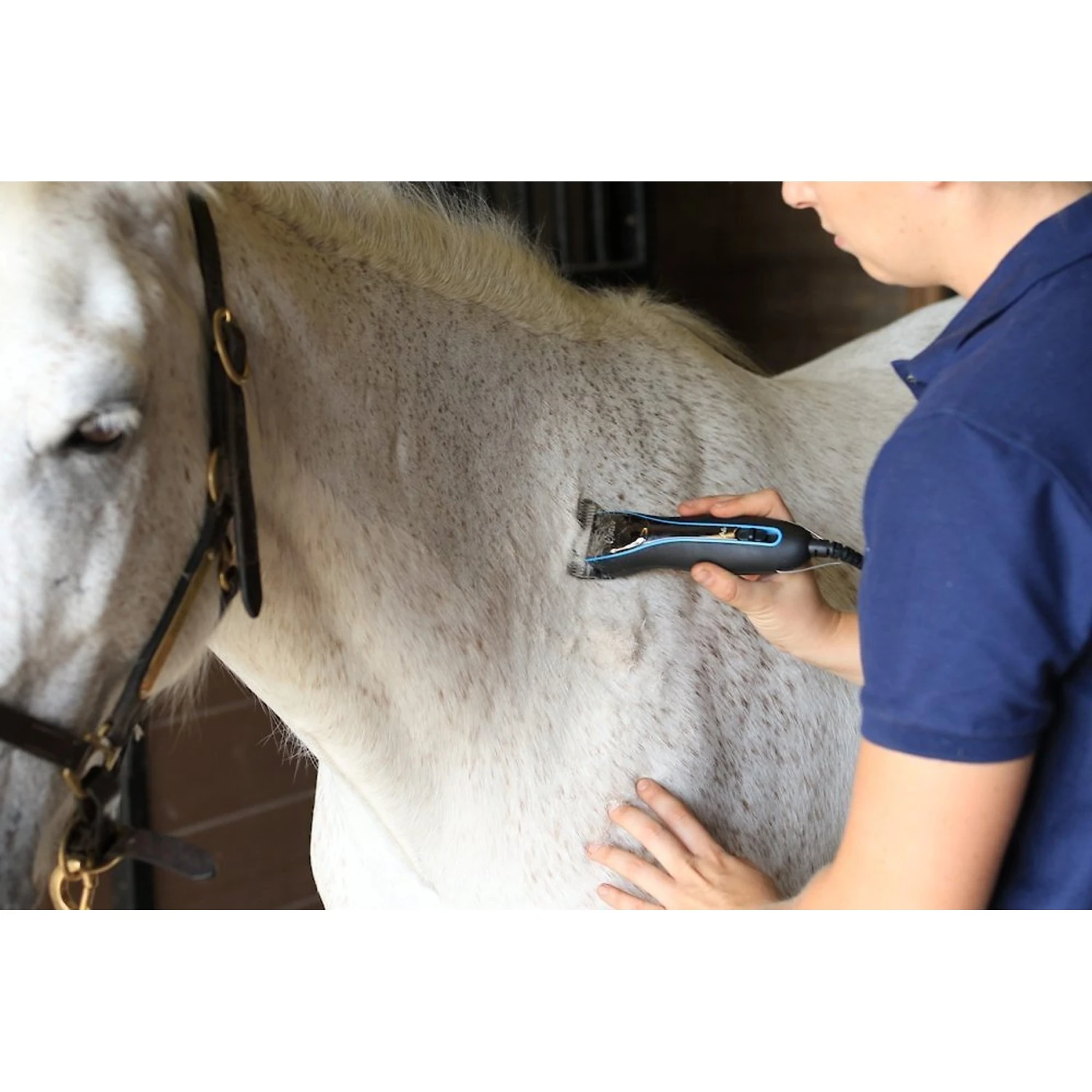 Oster® Oster CryogenX Wide Replacement Blade 2 Oster® Oster CryogenX Wide Replacement Blade - Image 2