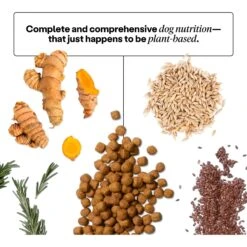 Wild Earth Maintenance Formula Golden Rotisserie Flavor Plant-Based Dog Dry Food -Pet Wellness 919262 PT3. AC SS1800 V1690466012