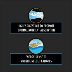 Purina Pro Plan Veterinary Diets CN Critical Nutrition Wet Dog & Cat Food 11 Purina Pro Plan Veterinary Diets CN Critical Nutrition Wet Dog & Cat Food -Pet Wellness 92027 PT2. AC SS1800 V1700162310