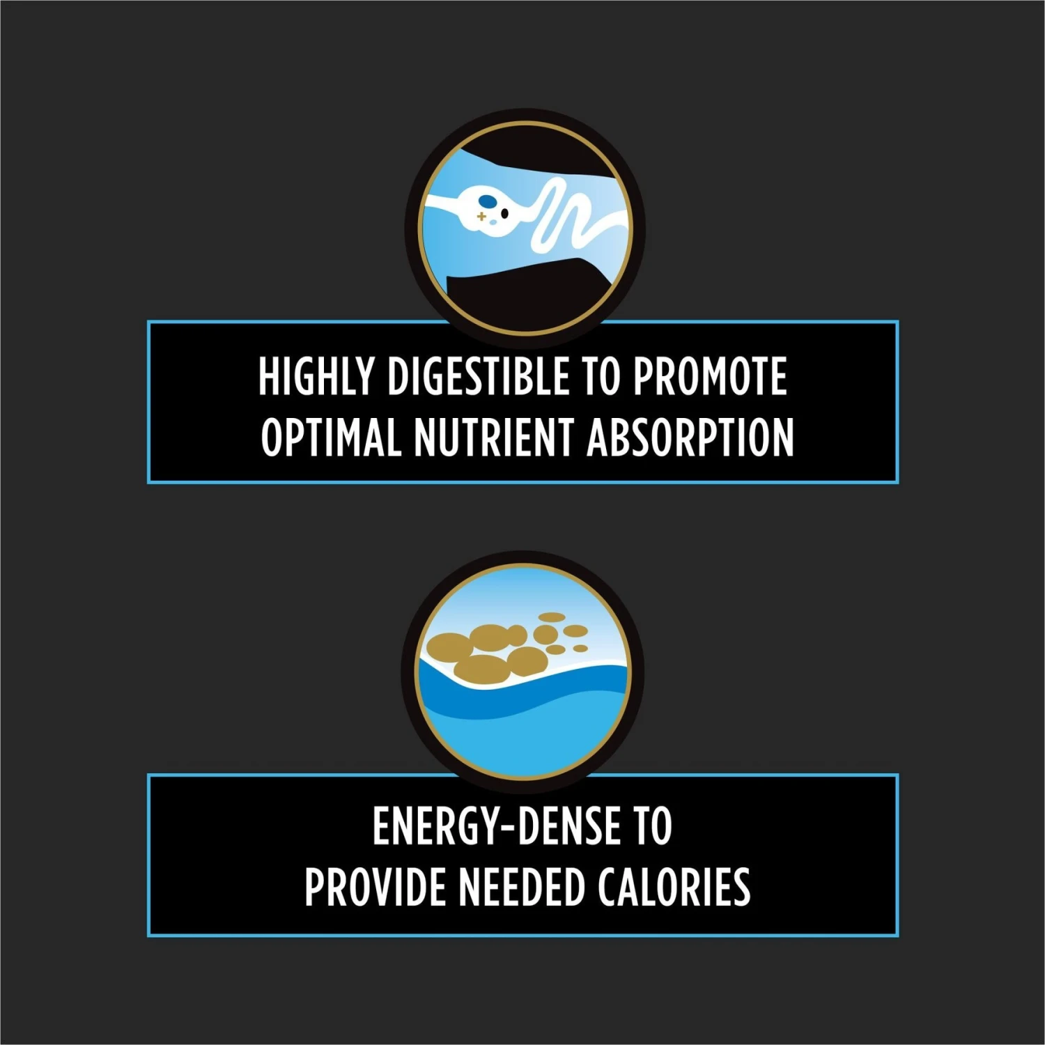 Purina Pro Plan Veterinary Diets CN Critical Nutrition Wet Dog & Cat Food 3 Purina Pro Plan Veterinary Diets CN Critical Nutrition Wet Dog & Cat Food - Image 3